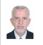Dr.-Ing. Taoufik Abdelhedi