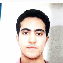 MOHAMED HEDI BEN SALEM