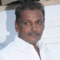 Ratha Krishnan M